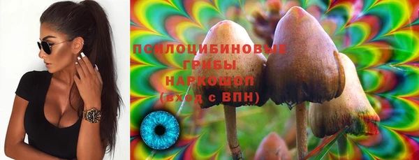 МДПВ Строитель